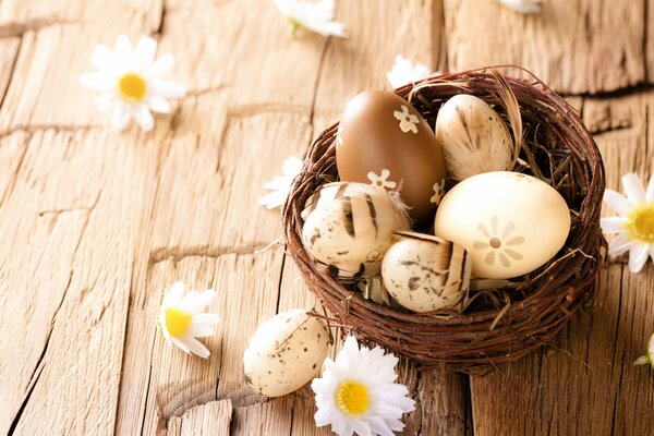 Eggs in a nest on a wooden background and daisies