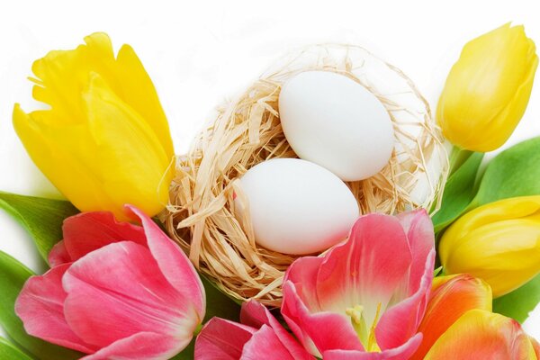 Oeufs et tulipes composition pour Pâques