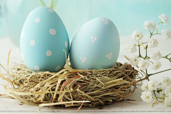 Eier im Nest für den Urlaub