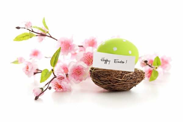 Green Easter egg on a pink flower background