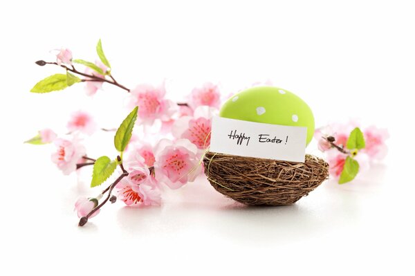 Huevo de Pascua verde sobre fondo de flor rosa