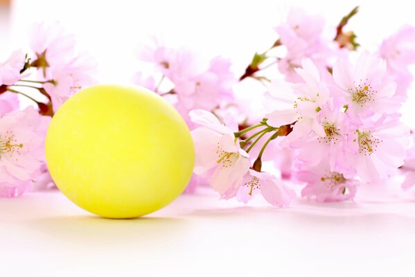 Oeuf de Pâques jaune et fleurs de cerisier