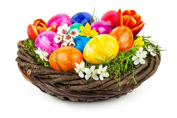 Bright Easter eggs in a basket with tulips