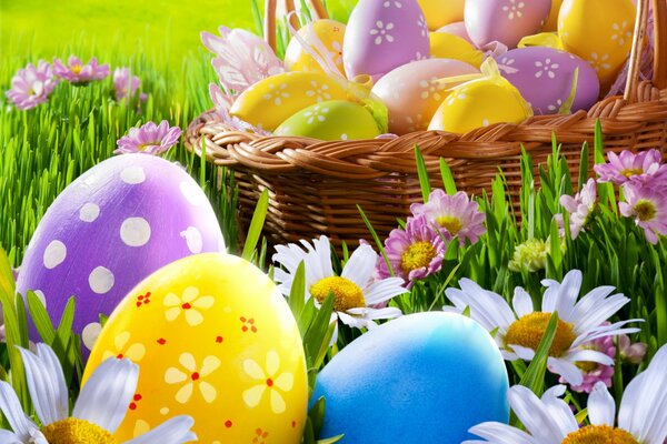 Easter basket on the chamomile meadow