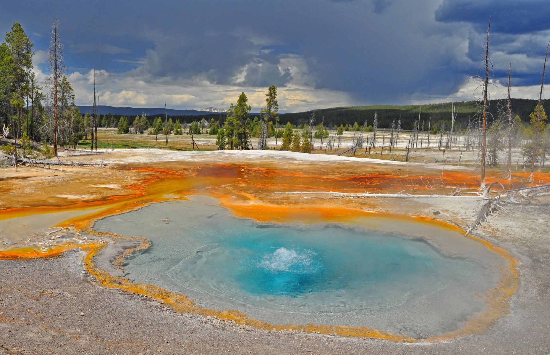 ky clouds tree lake geyser