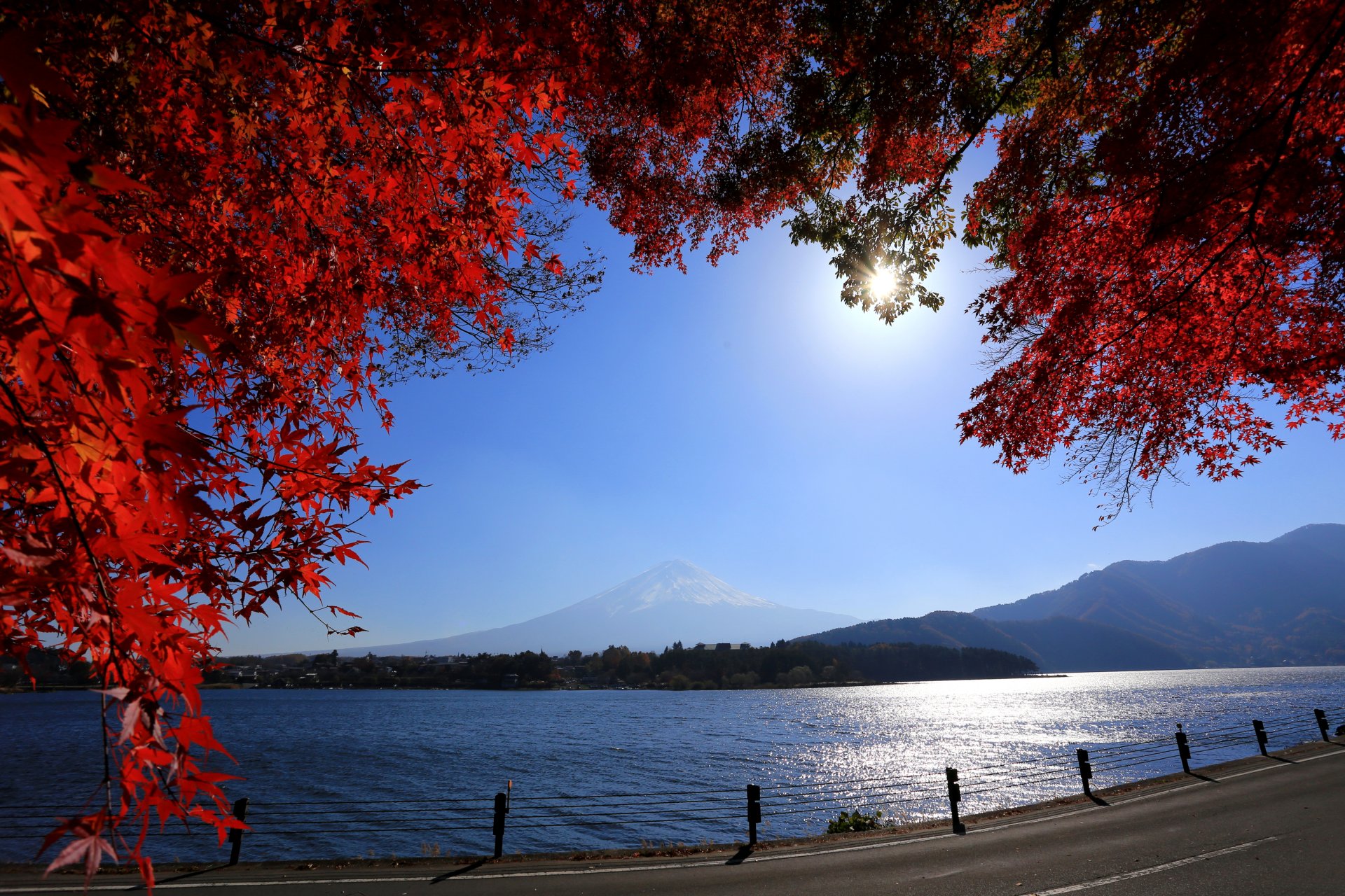 japan mount fuji road river mountain fuji branches leave