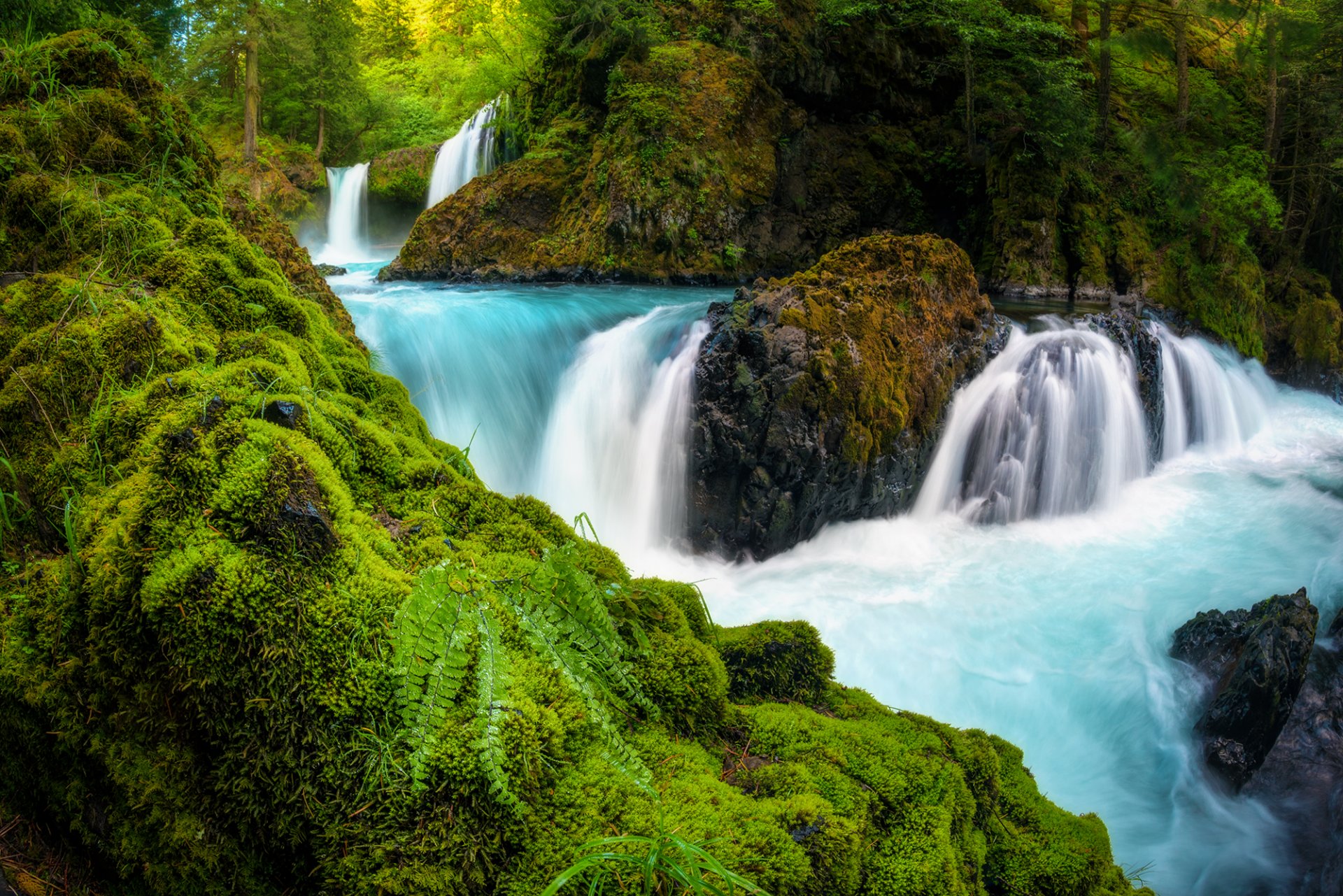 spirit falls columbia river gorge washington washington wasserfall kaskade fluss steine moos farn wald