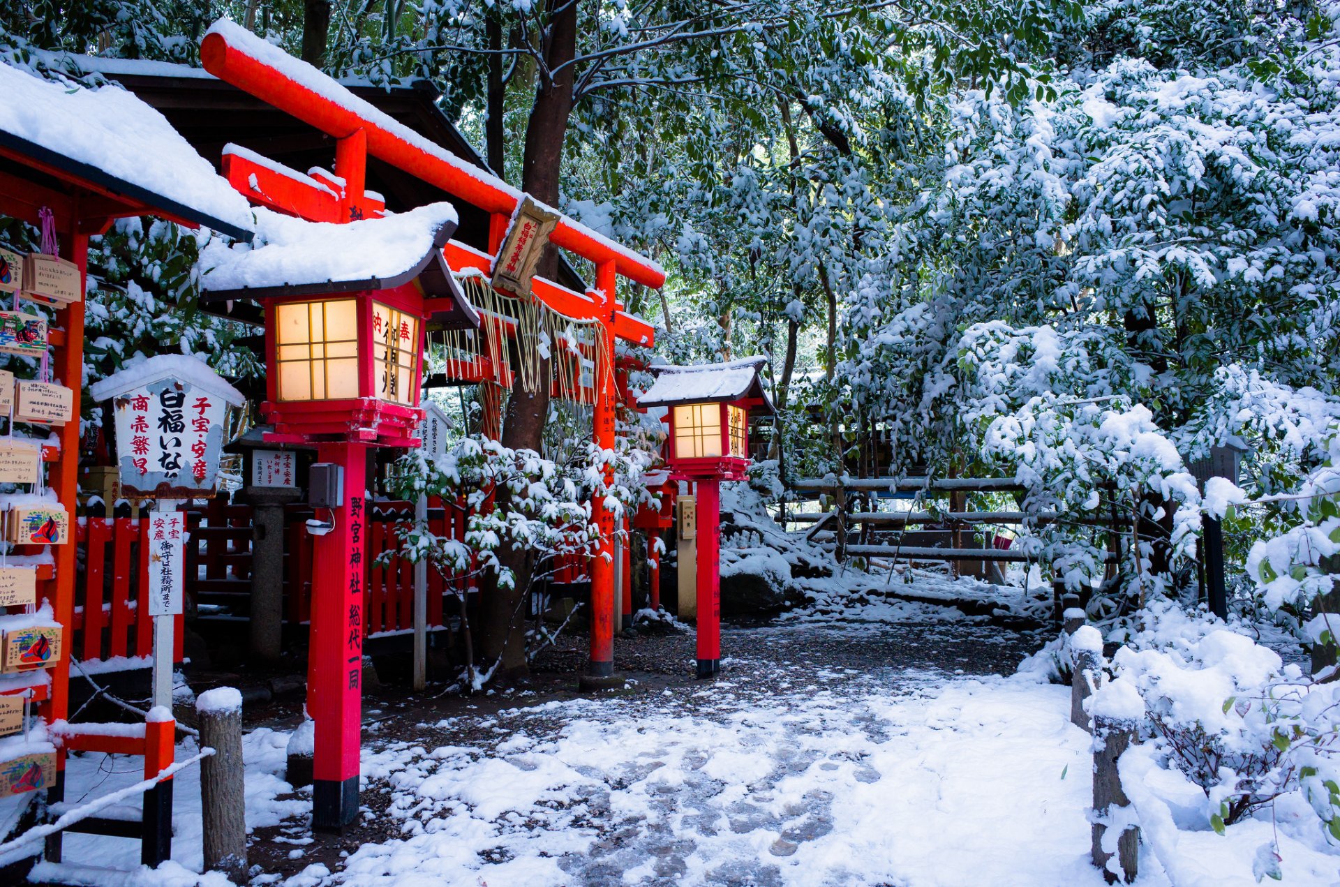 templo nonomiya puerta torii kyoto japón templo nonomiya torii kyoto templo puerta linternas invierno nieve