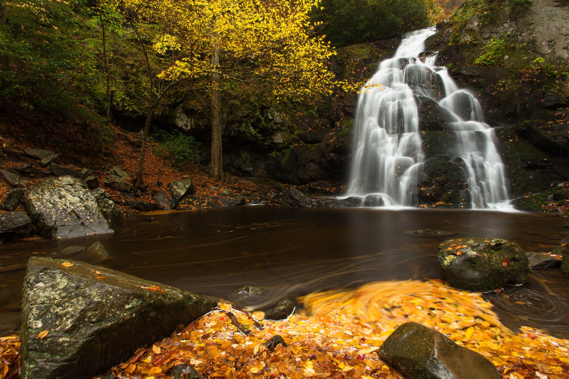 fichte wohnungen wasserfall great smoky mountains national park tennessee wasserfall kaskade fluss steine blätter herbst