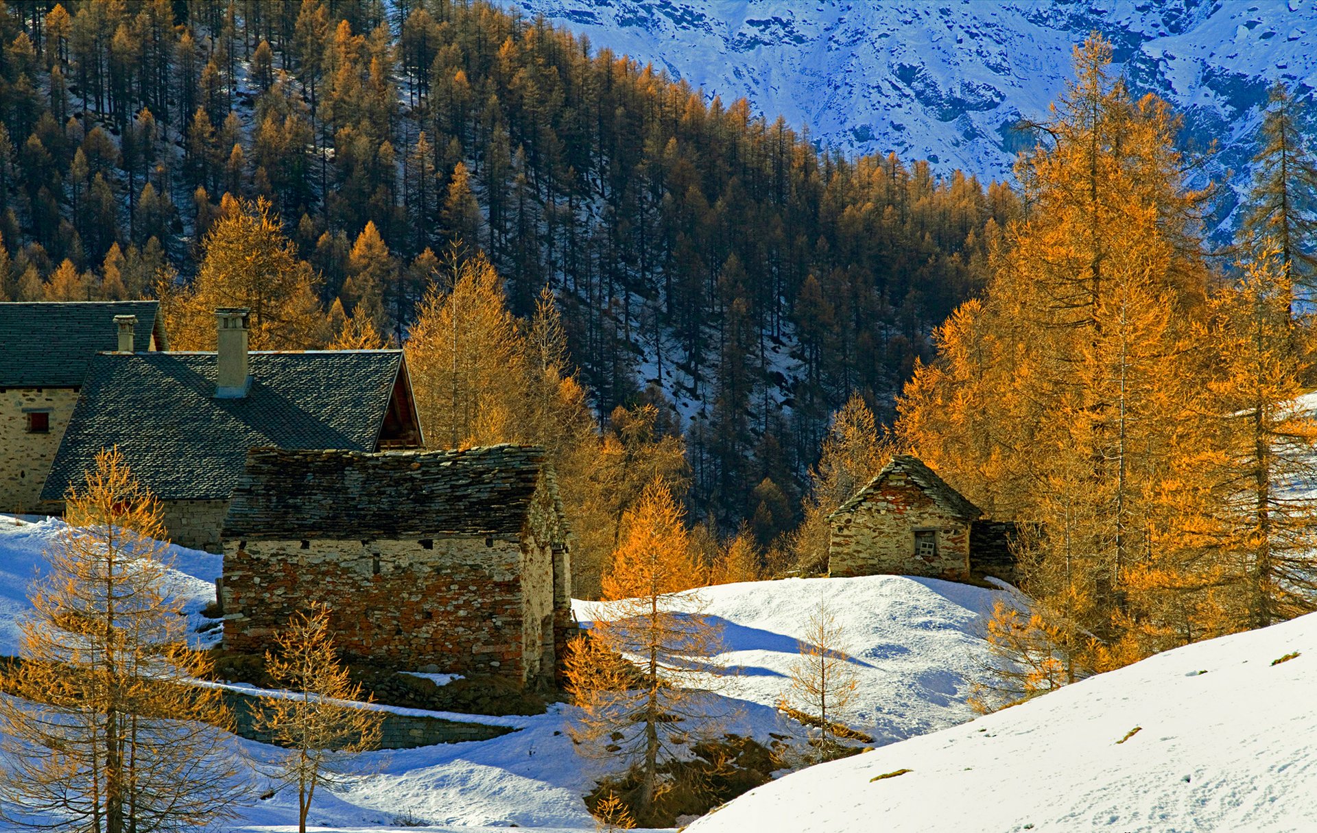 montañas casas nieve árboles otoño