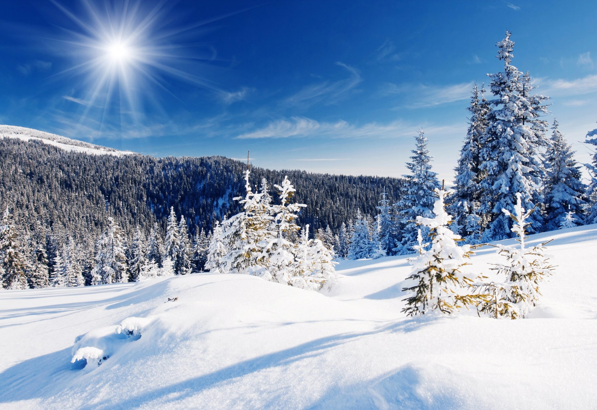 nieve invierno bosque árboles derivas cielo azul rayos del sol