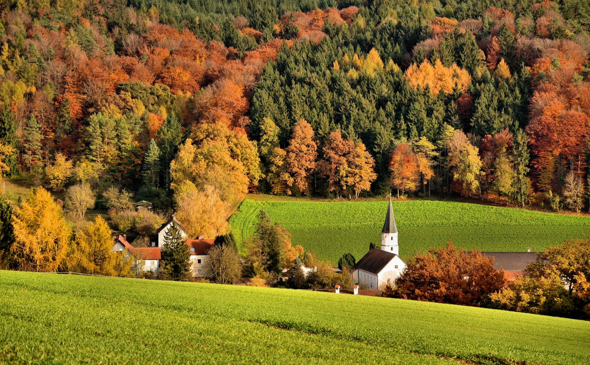 colinas bosque campo casas iglesia árboles otoño