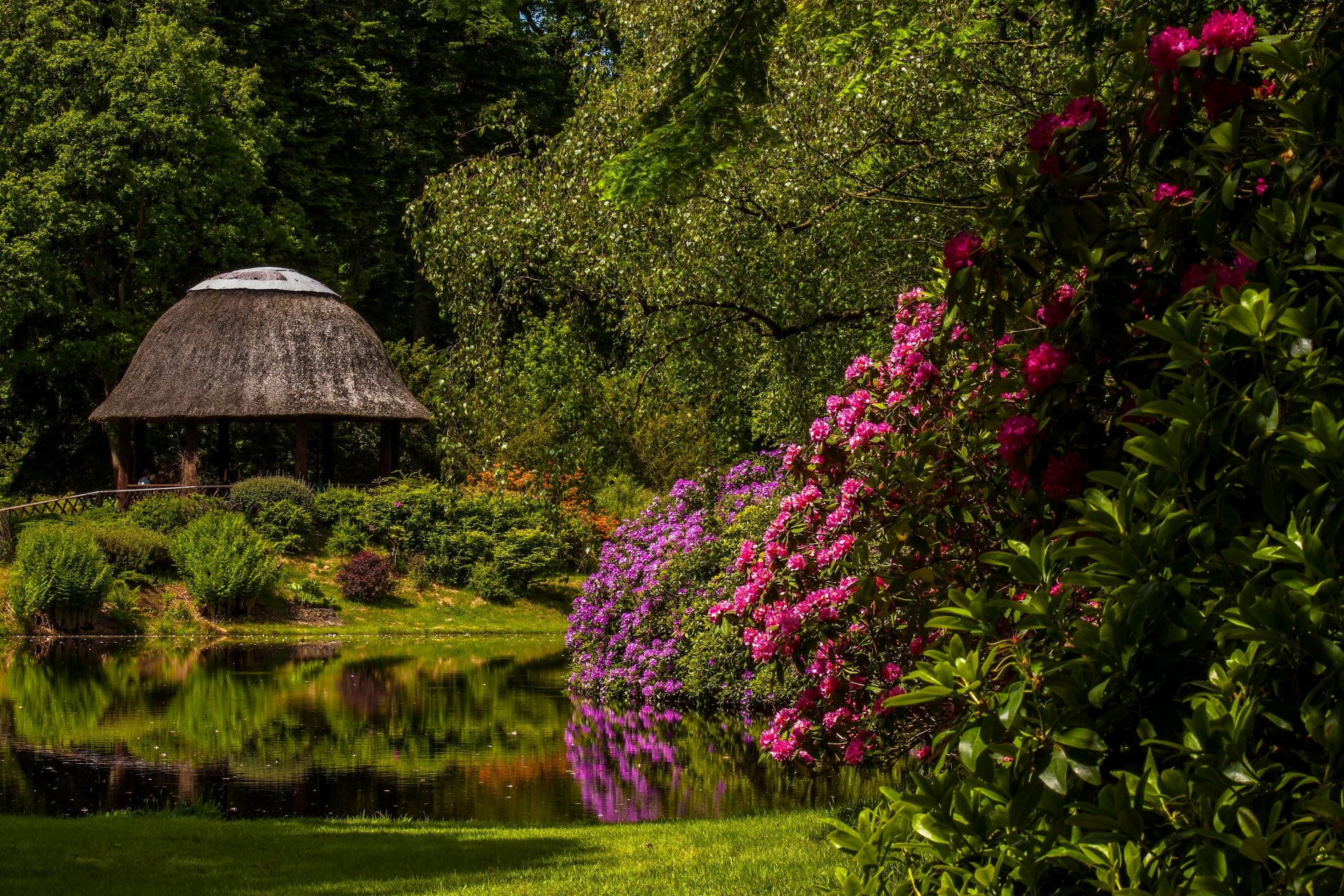 chloss lütetsburg parc du château de lütetsburg basse-saxe allemagne château de lütetsburg parc du château parc étang rhododendrons belvédère