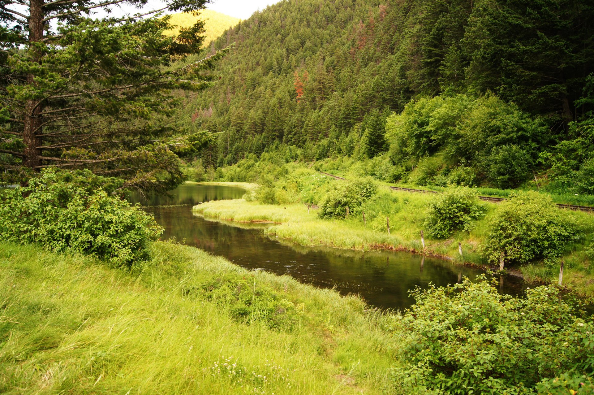 canada lago pera lago foresta montagna verde ferrovia