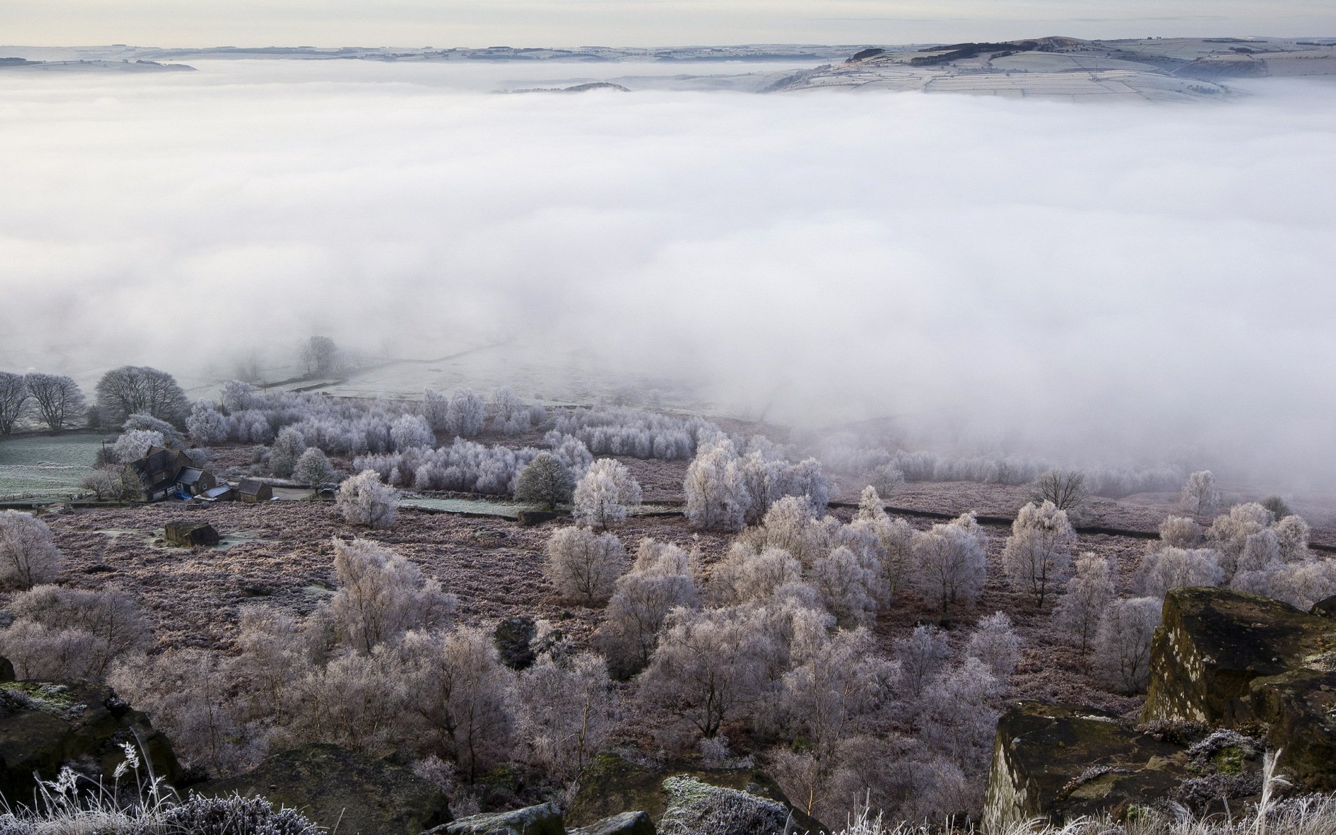 campo nebbia valle paesaggio