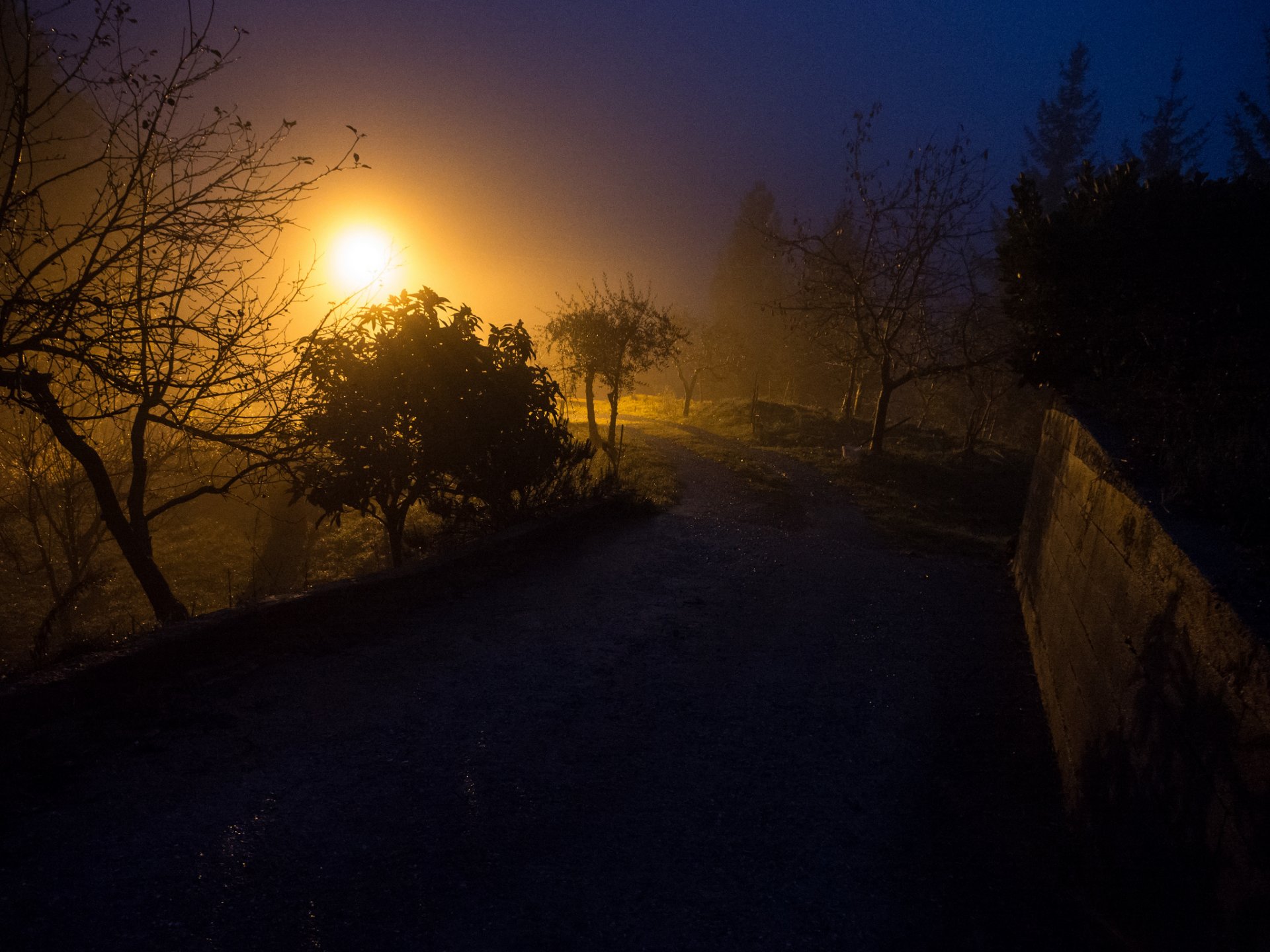 himmel nebel abend licht straße bäume zaun