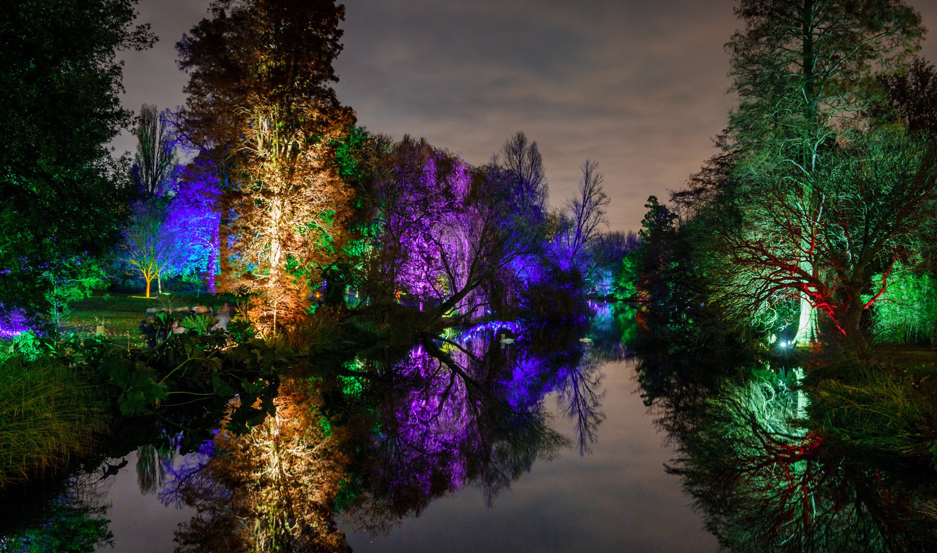 nacht park teich bäume licht lichter