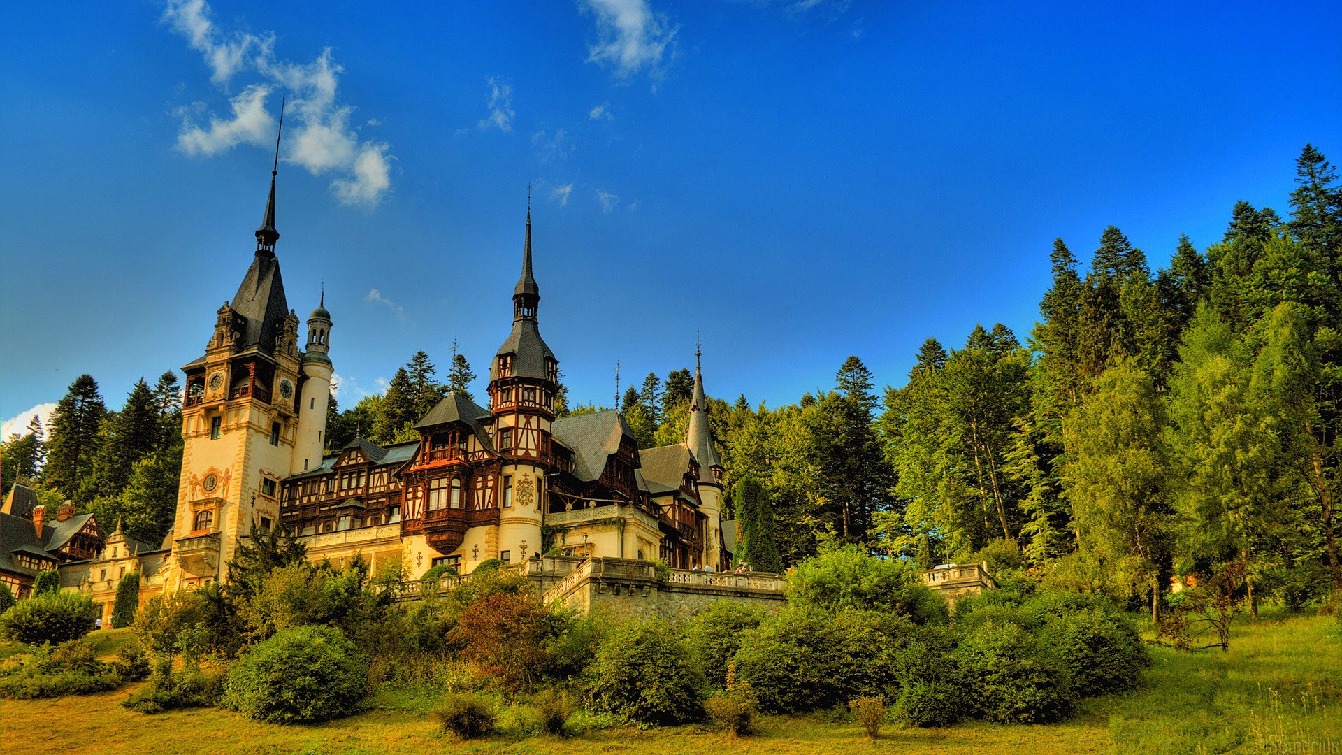 himmel wald bäume schloss haus turm