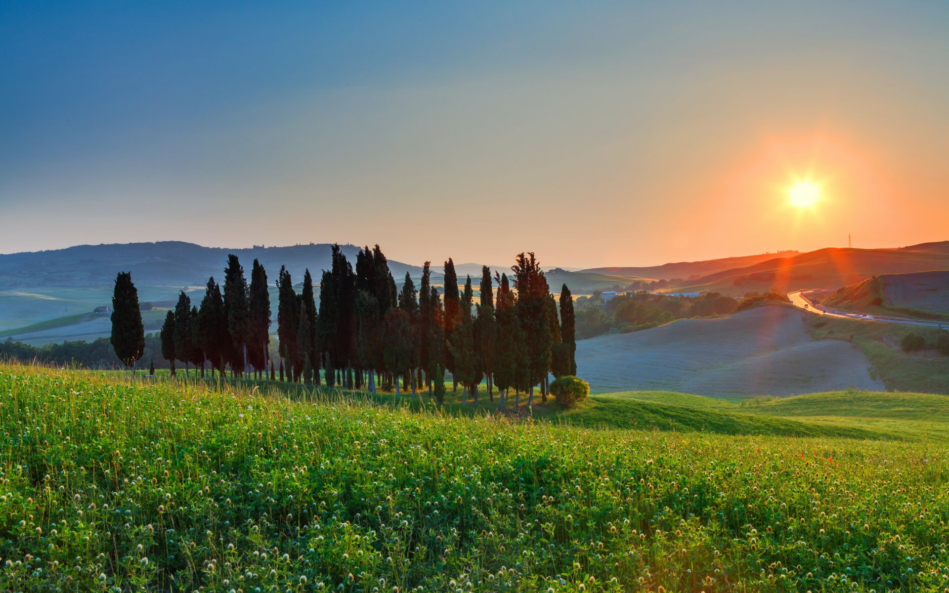 the field tree landscape sunset