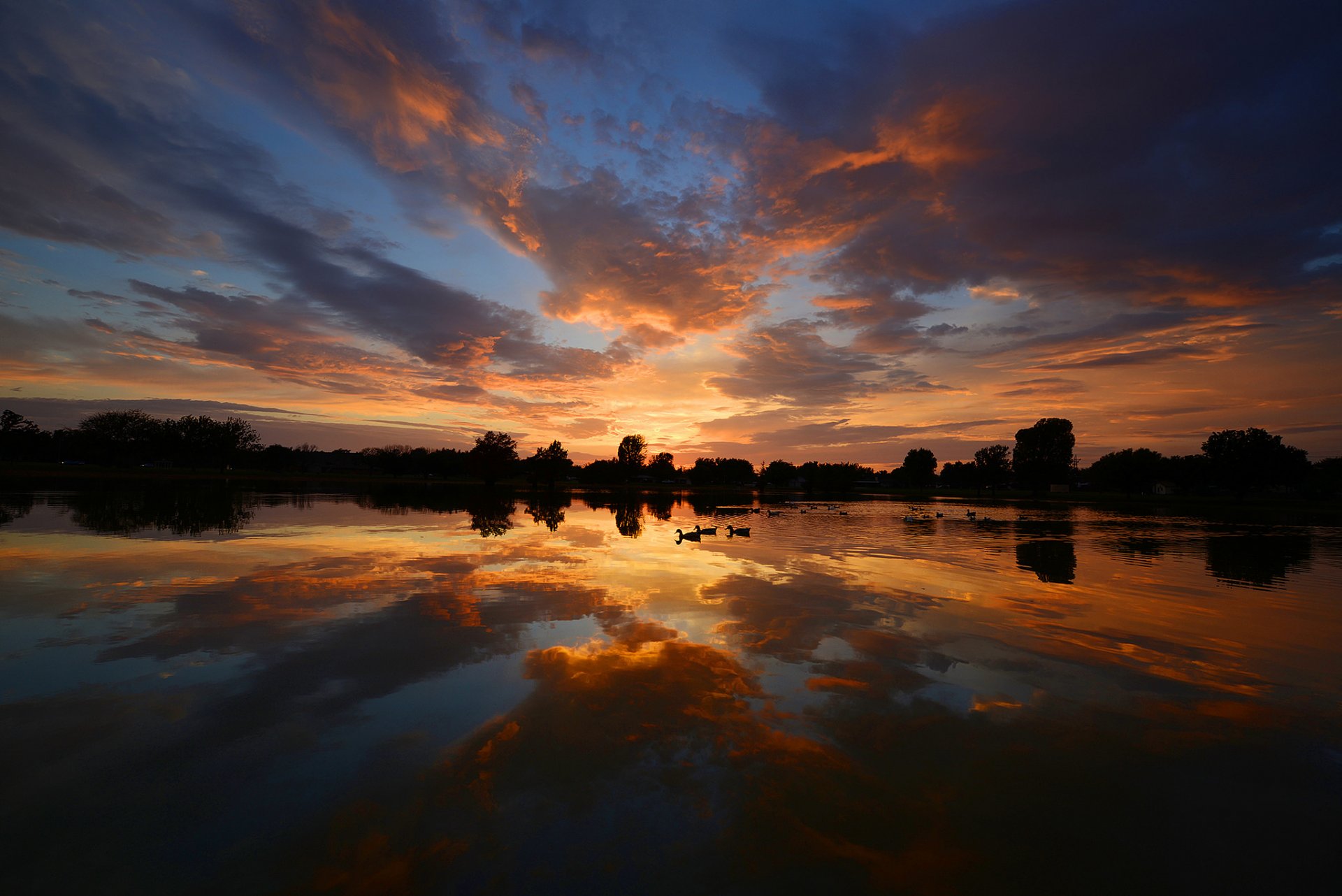 soirée eau ciel réflexions canards