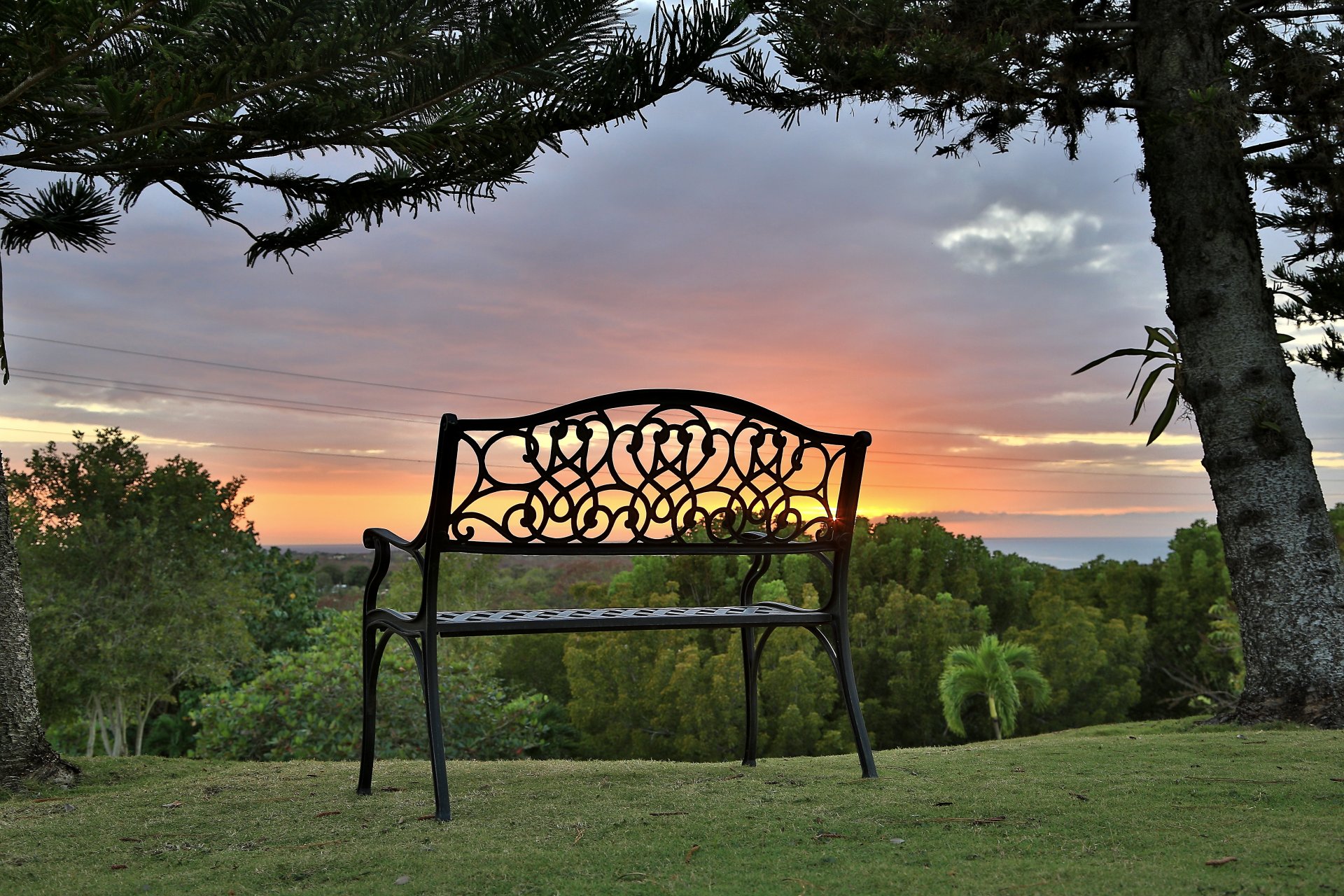 hop bench grass tree sun sunset cabo rojo puerto rico