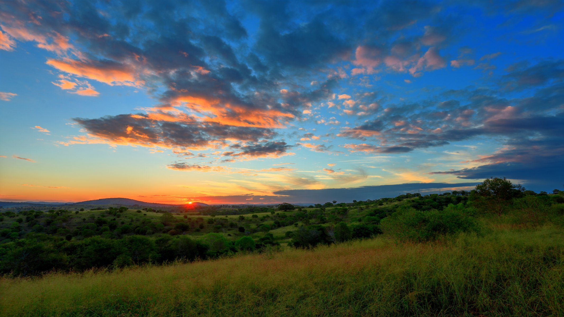 the field tree hills sunset sky cloud