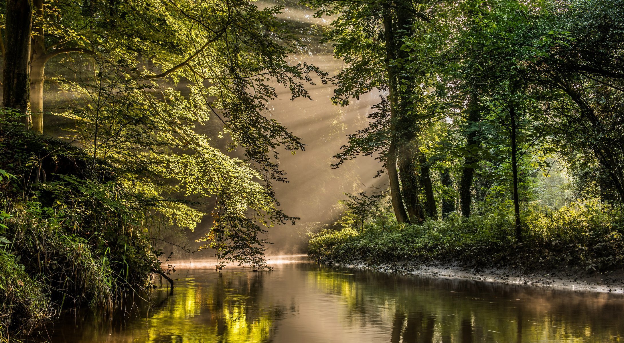 bekendelle winterswijk netherlands nature reserve river forest tree