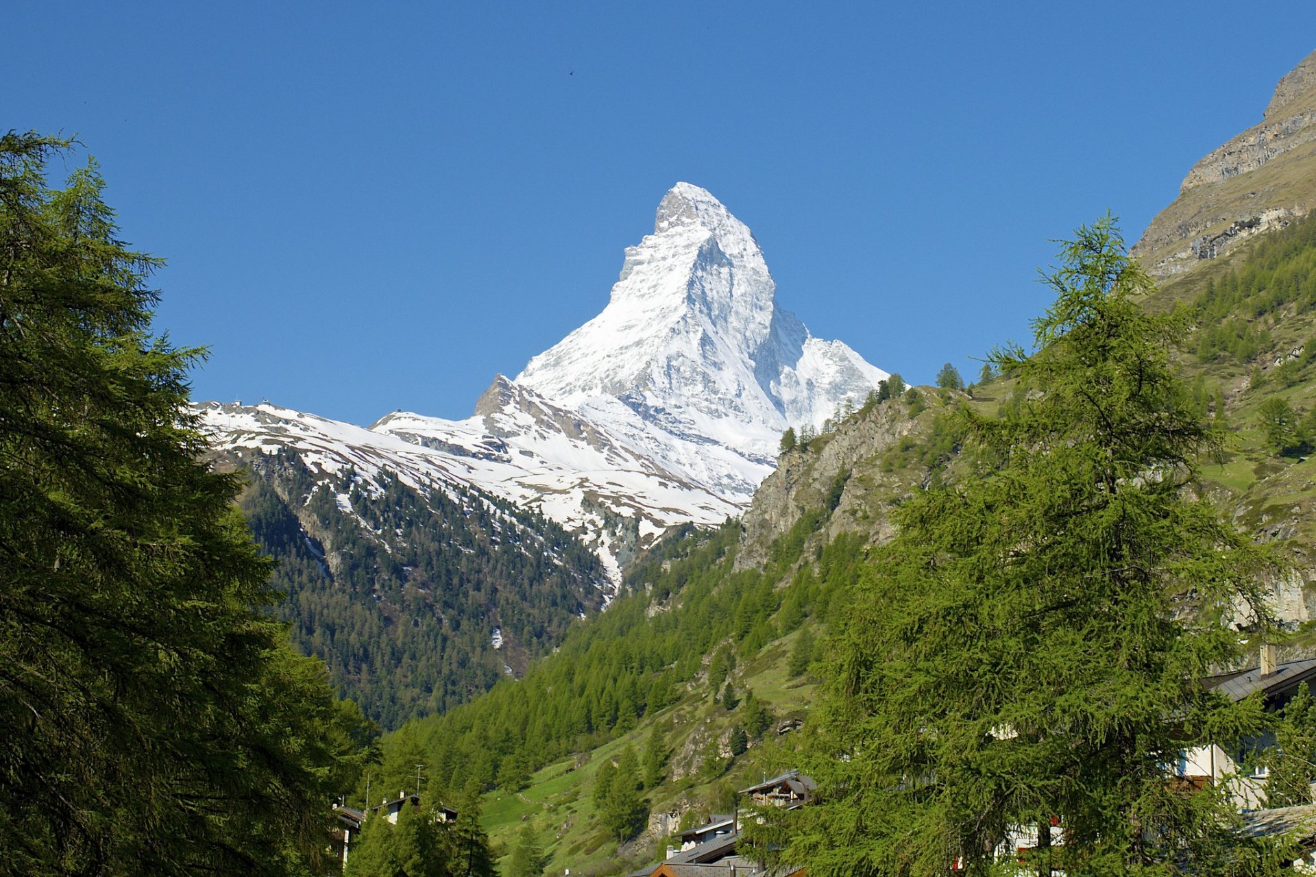 suisse italie alpes mont cervin arbres neige pente