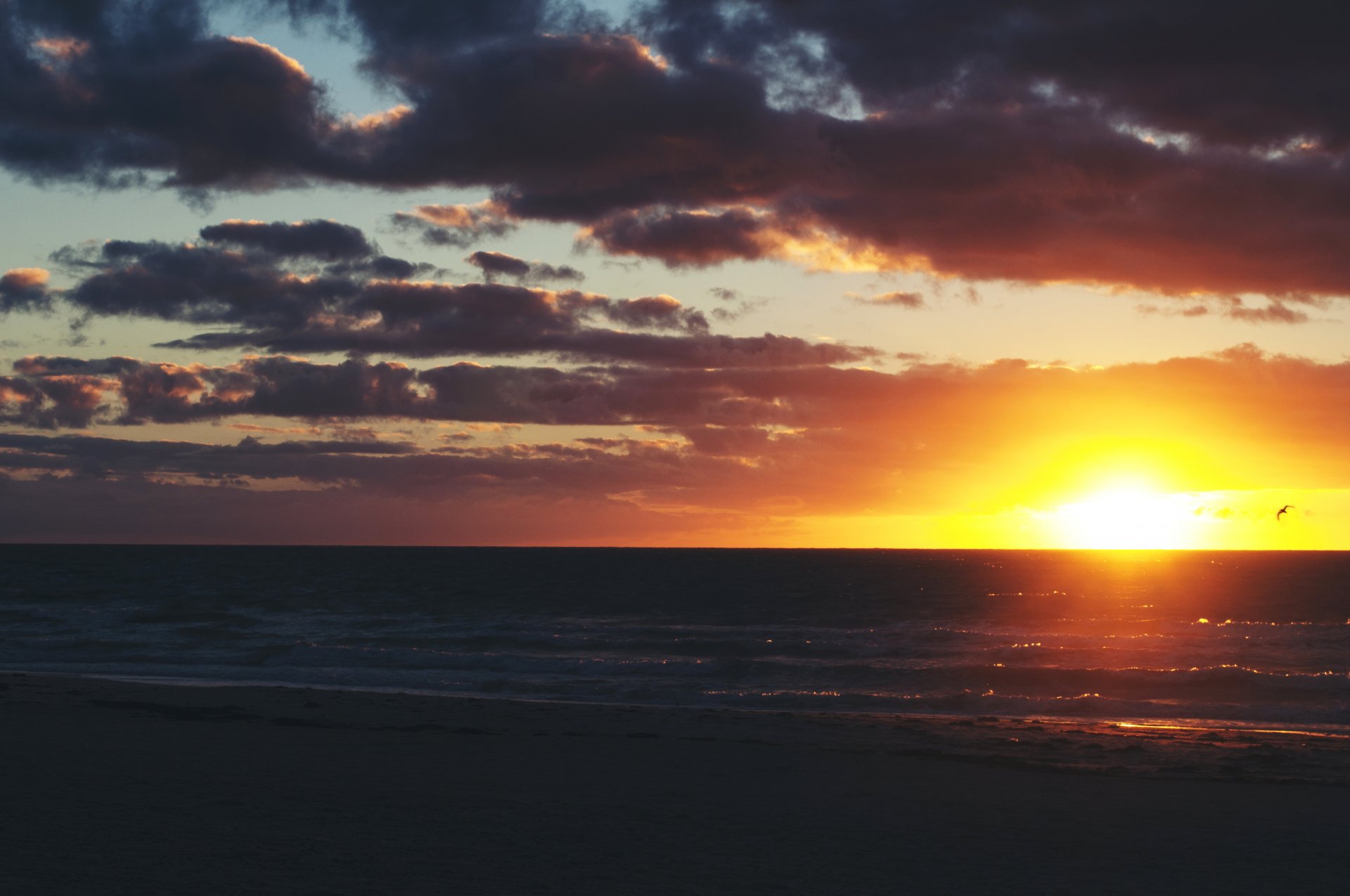 sonnenuntergang horizont himmel wolken wellen vogel