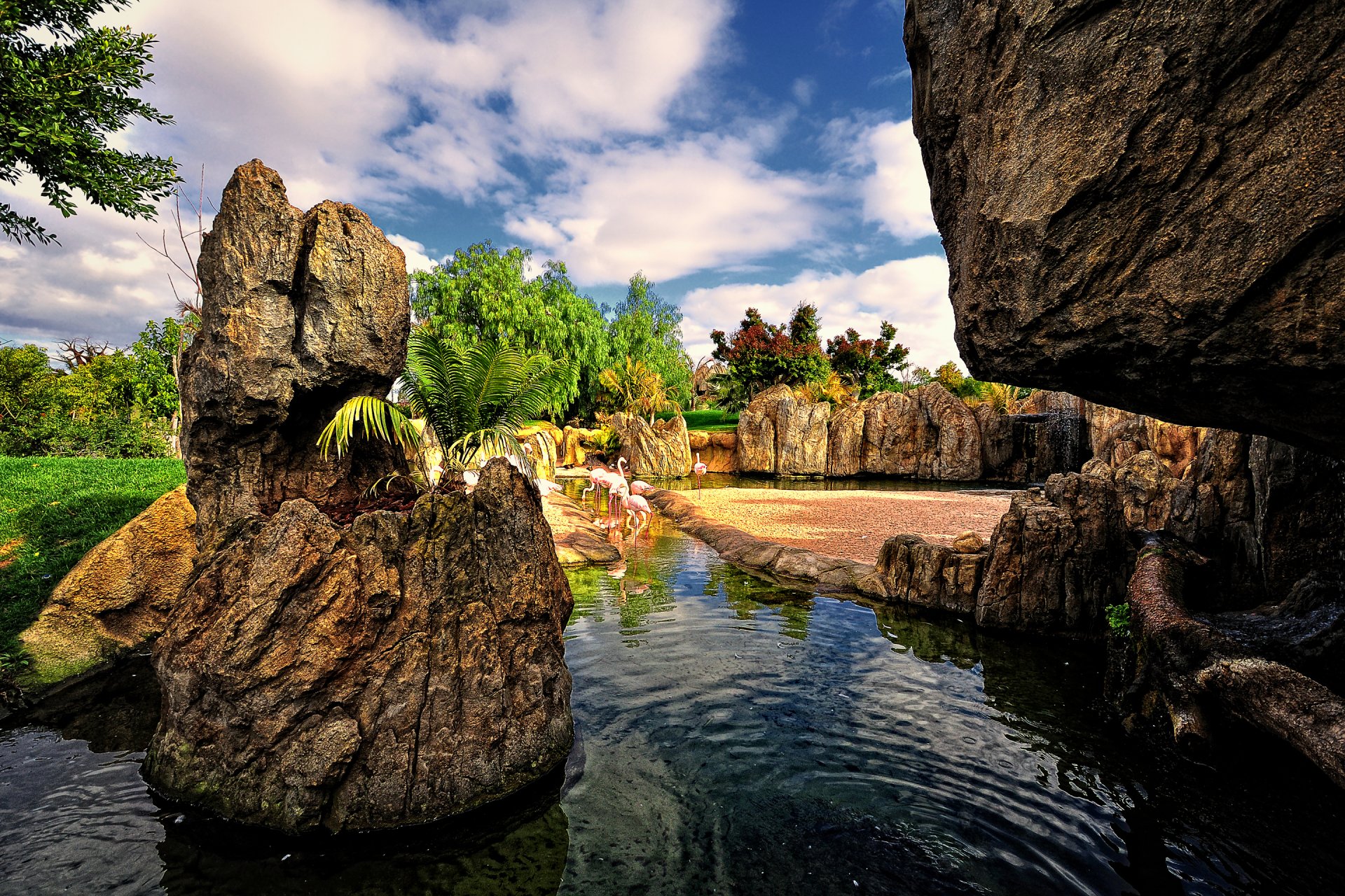 valencia spanien park garten vögel flamingos steine teich wasser bäume himmel wolken