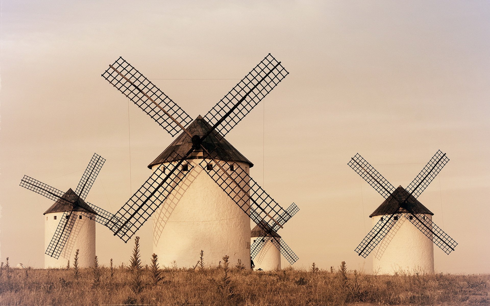 pain windmill landscape