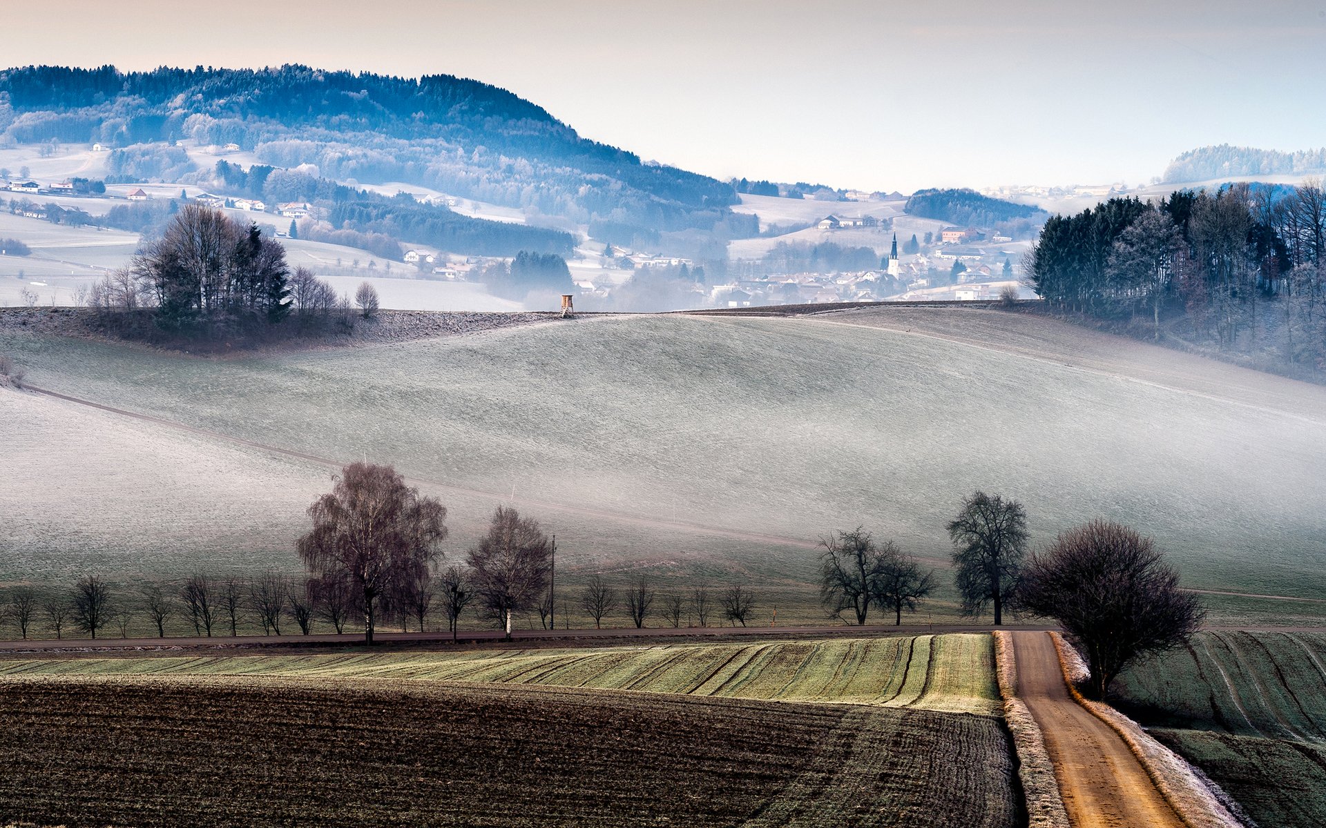 italie collines champs brouillard arbres ville maisons