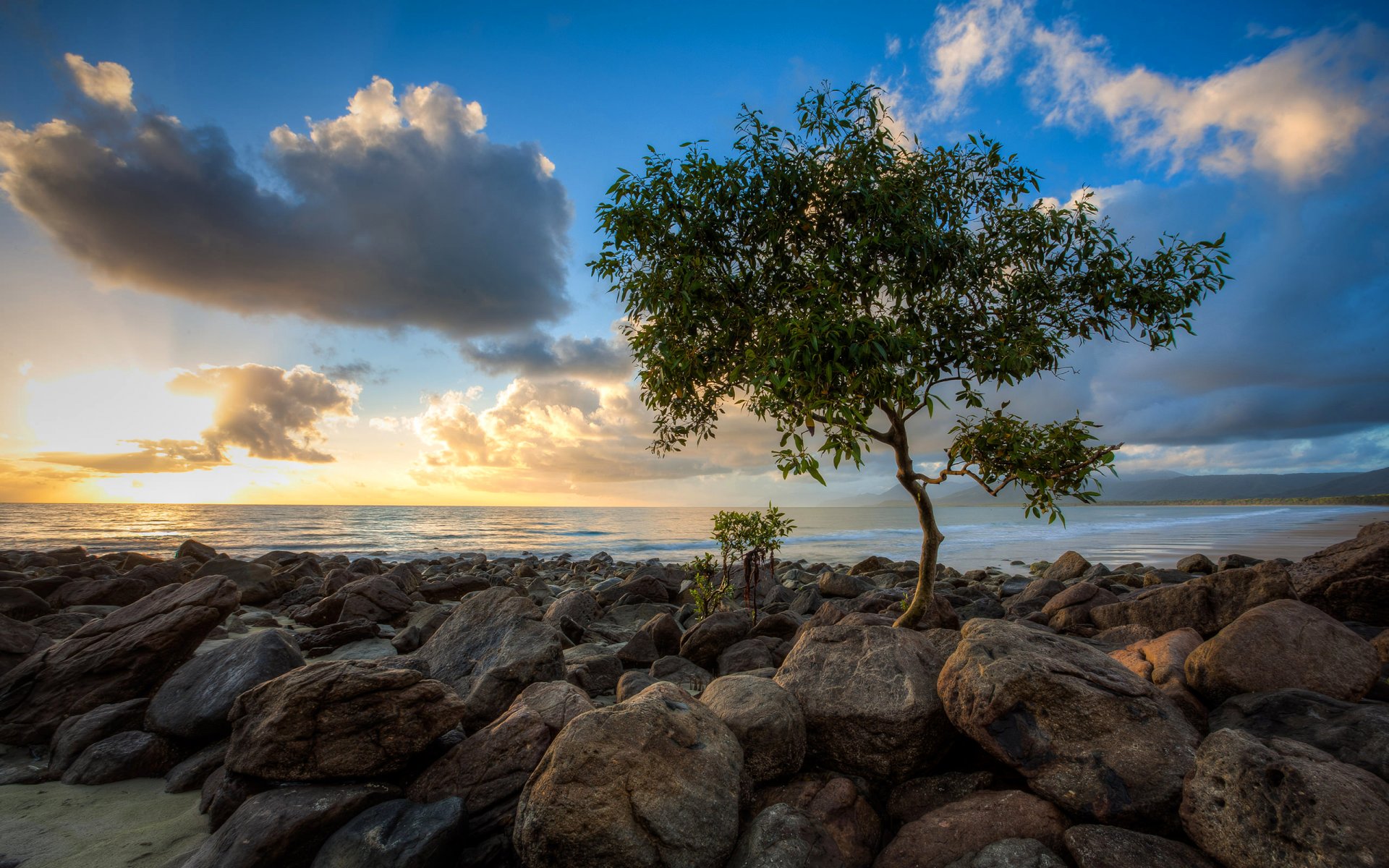 cielo nubes puesta de sol mar piedras árbol