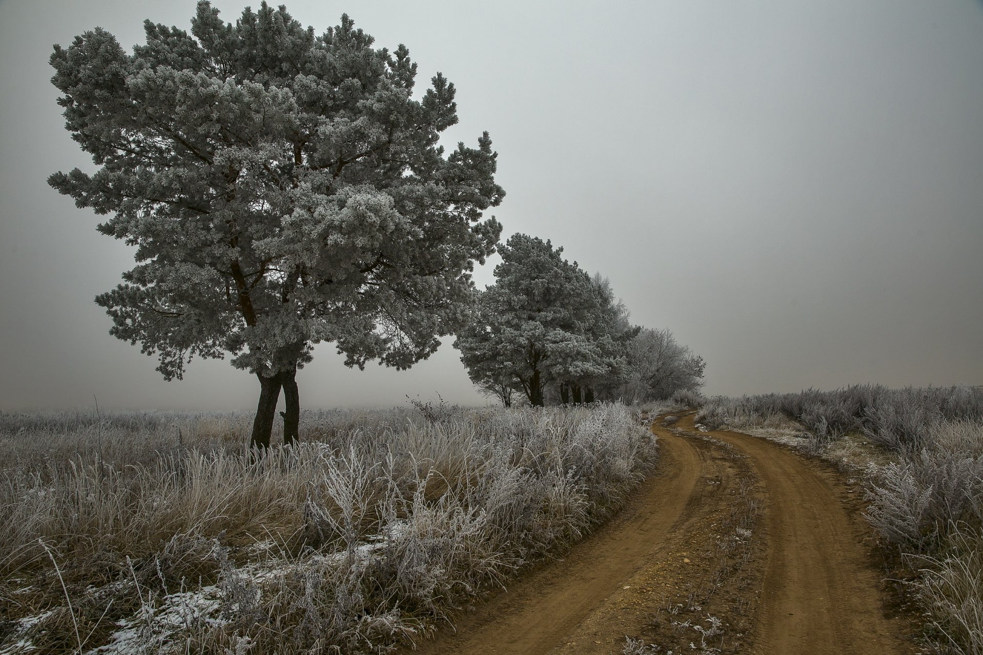 route arbres automne givre