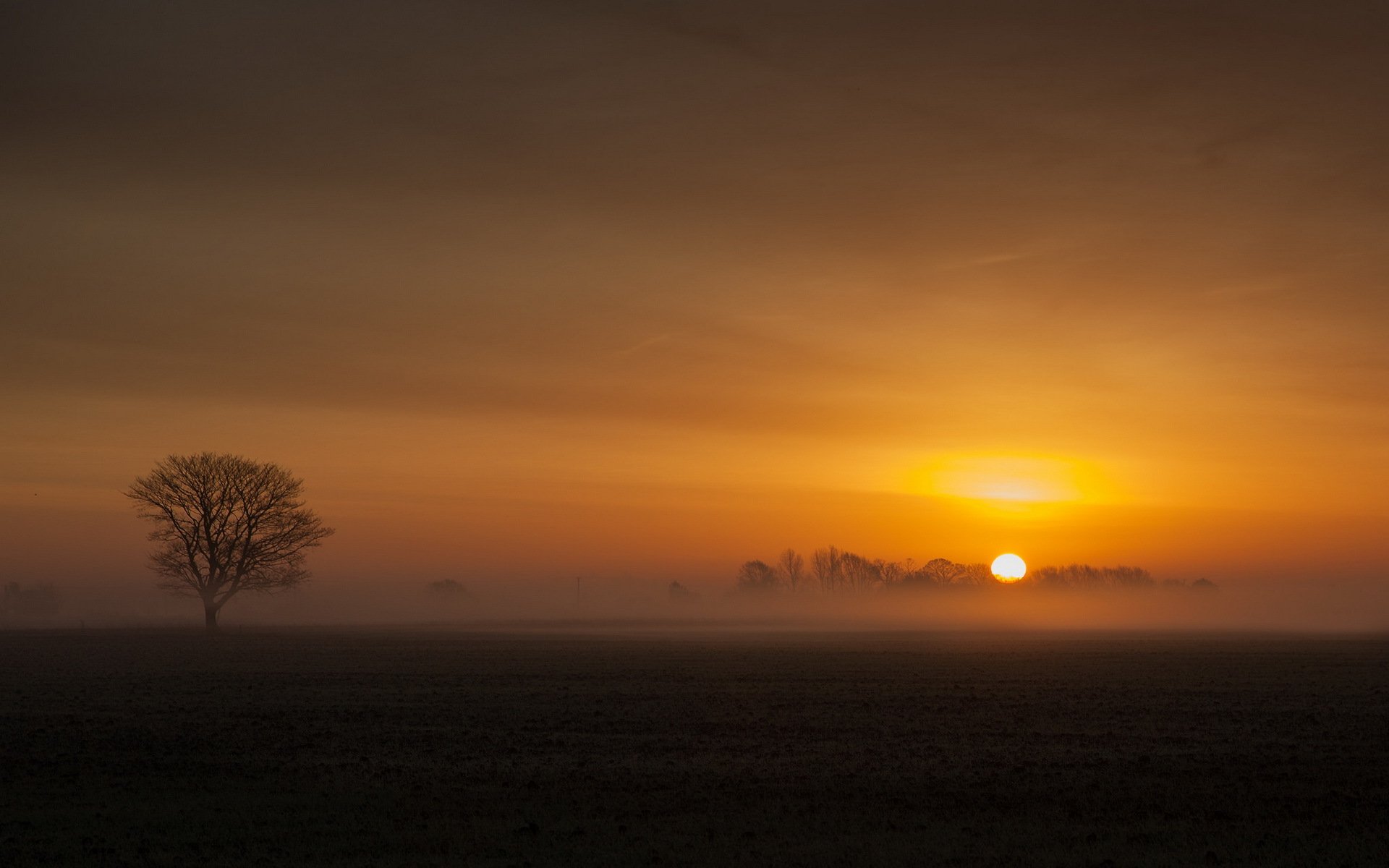 fenland natur