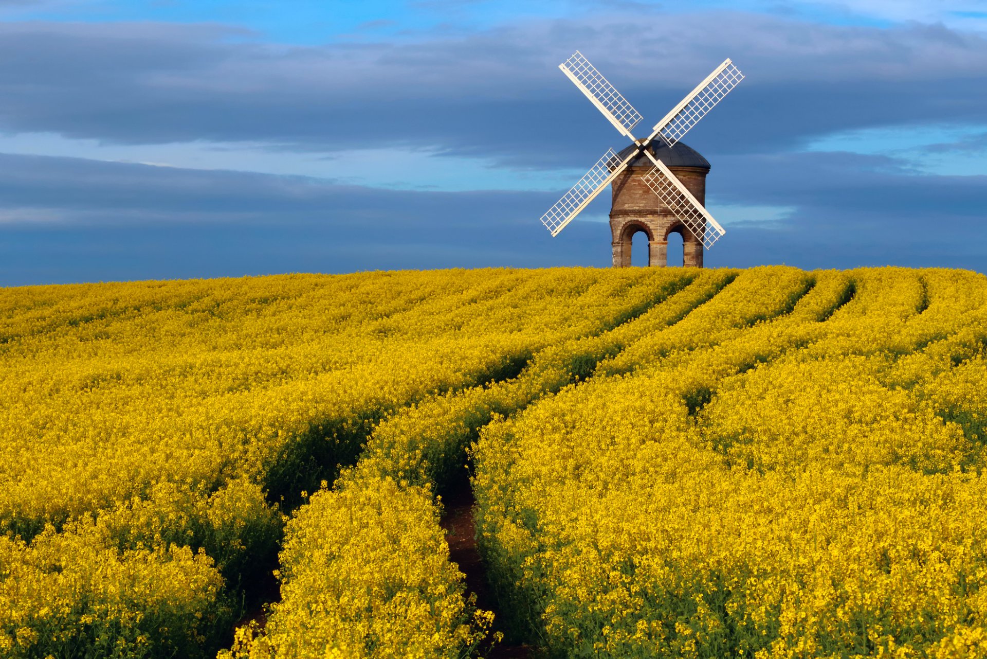 großbritannien grafschaft warwickshire baudenkmal chesterton windmühle windmühle frühling april himmel feld raps