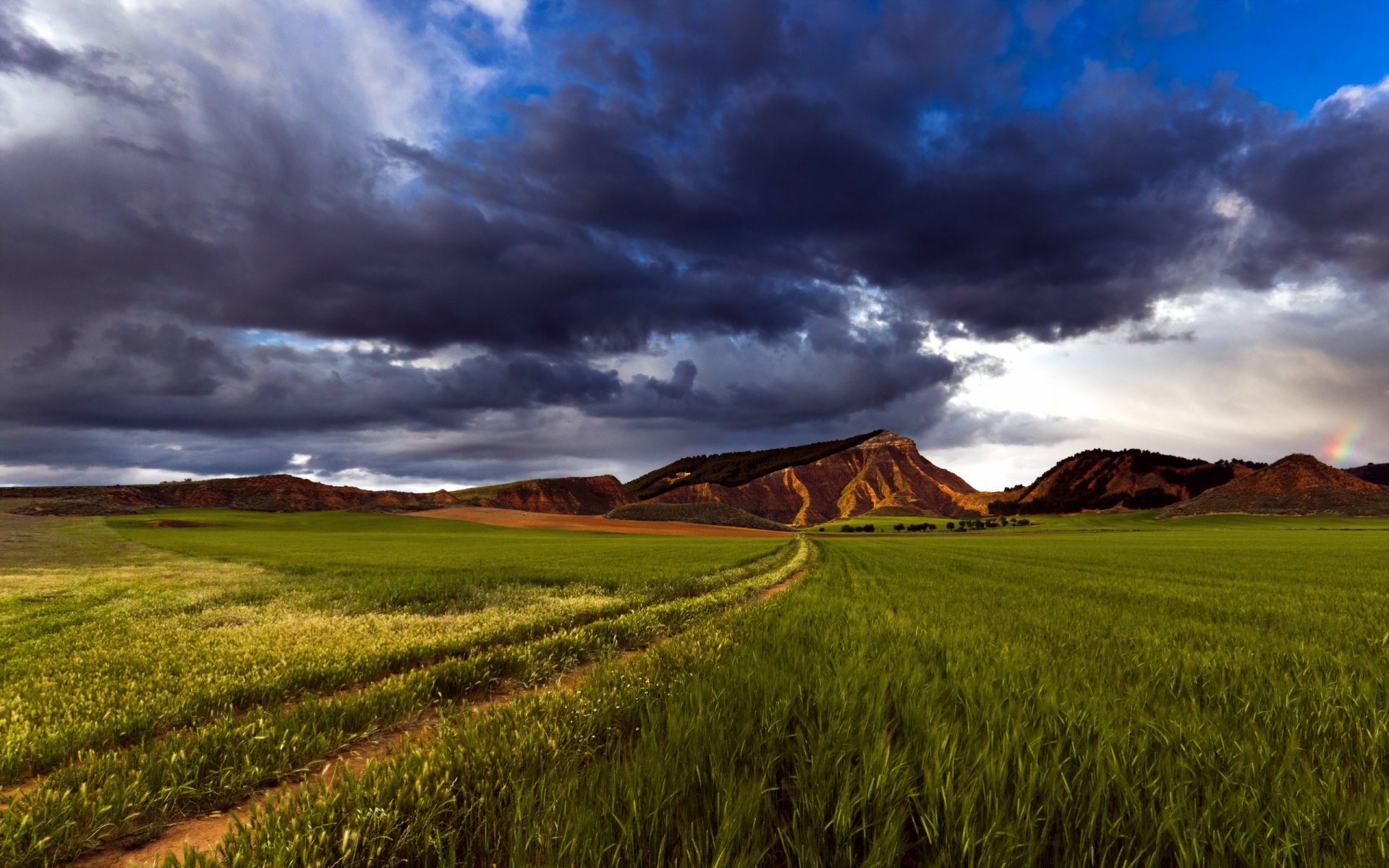 champ ciel nature paysage