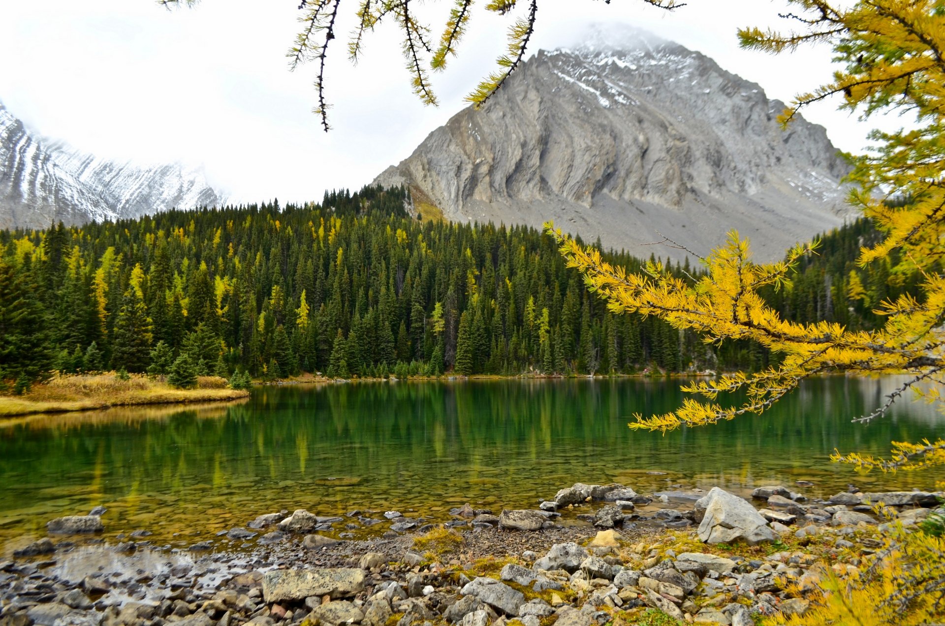 lago chester montañas rocosas canadienses alberta canadá lago chester montañas rocosas canadienses otoño lago montañas bosque ramas alerce