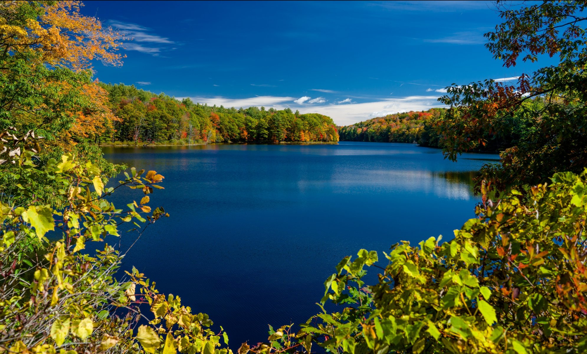 rockwood lake adirondack park new york lake rockwood new york state ny autumn lake tree branche