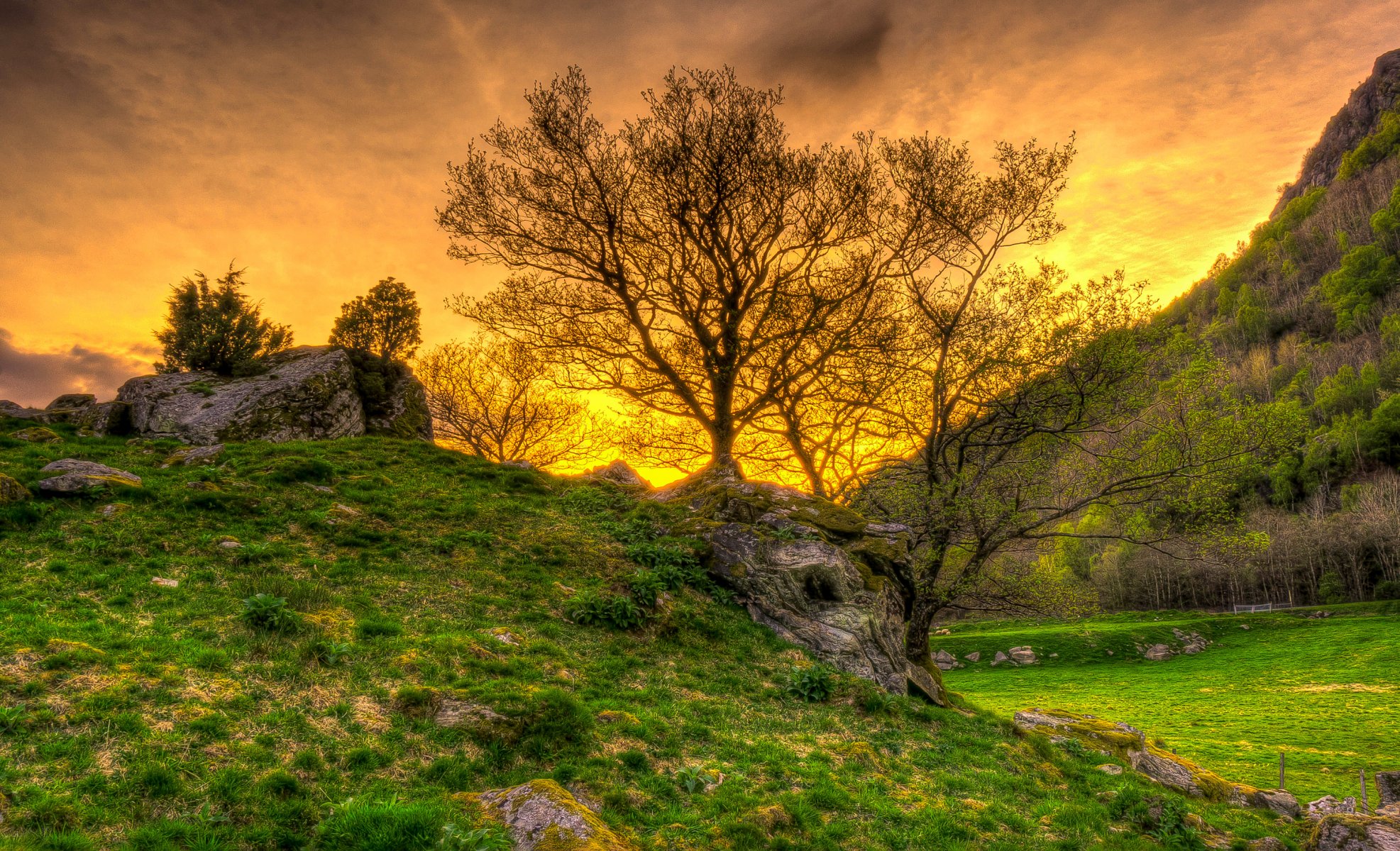 himmel sonnenuntergang berge steine gras bäume hdr