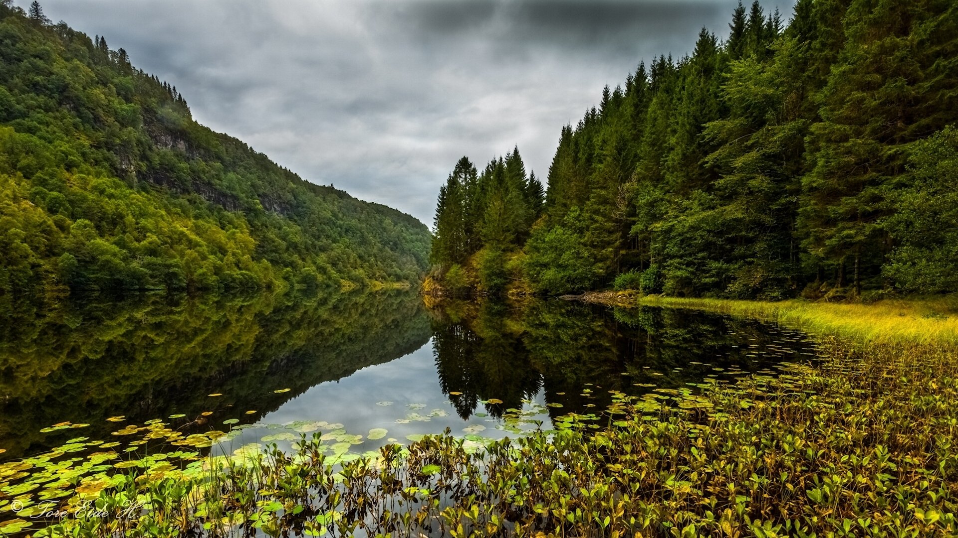 valle di kossdalen osterøy norvegia osterøy lago foresta