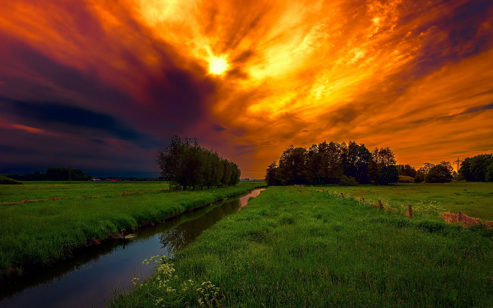 feld himmel nacht