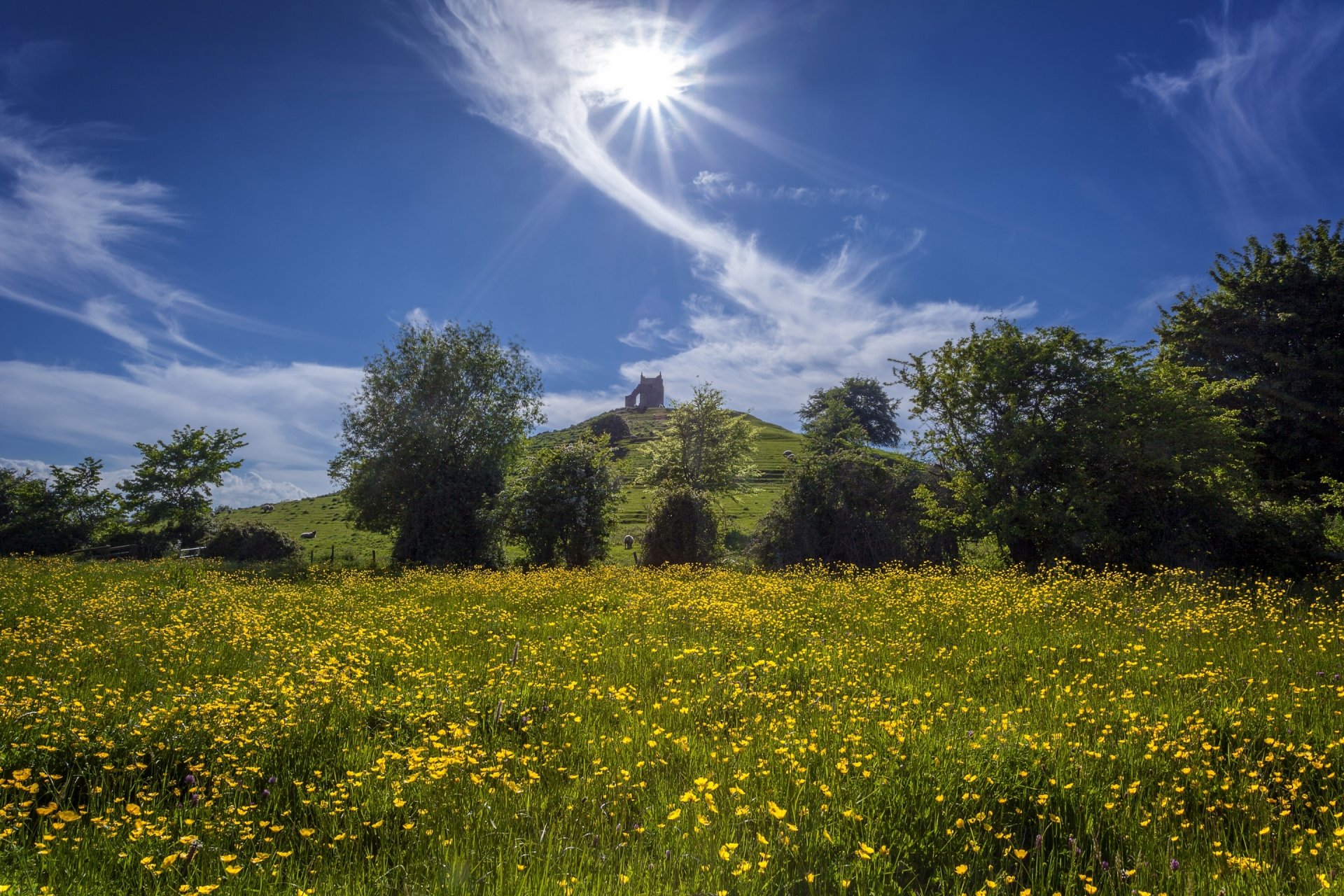 barrow betrügen burrowbridge somerset england barrowbridge hügel wiese blumen butterblumen bäume himmel wolken