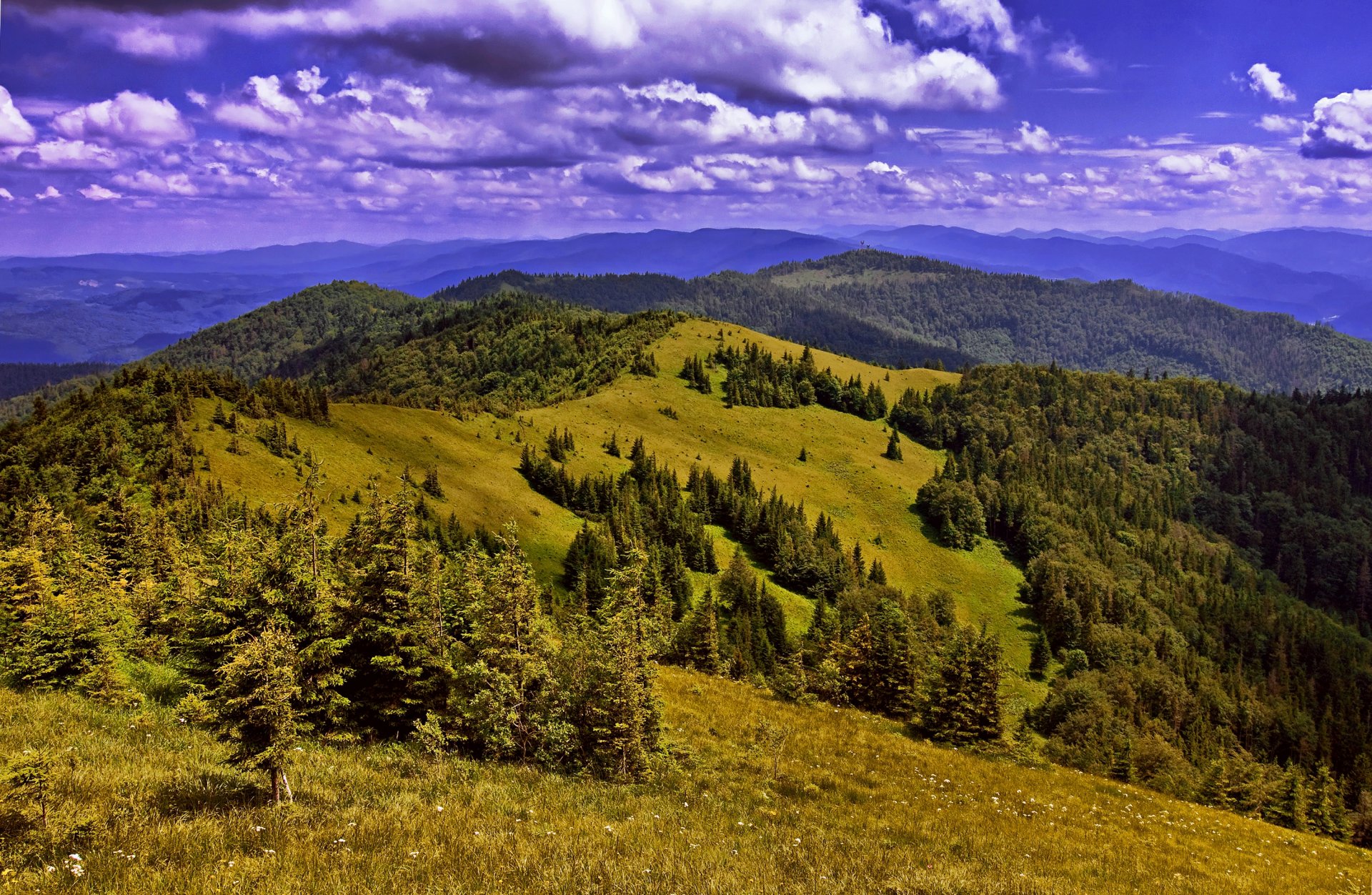 ucrania cárpatos montañas bosques campos nubes