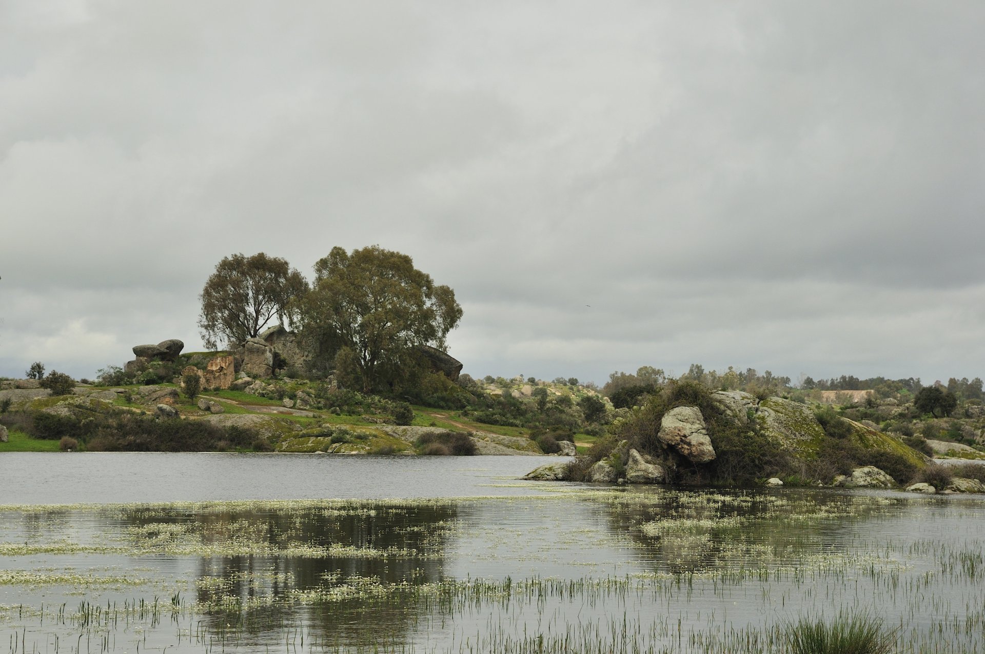 río lenteja de agua piedras árboles