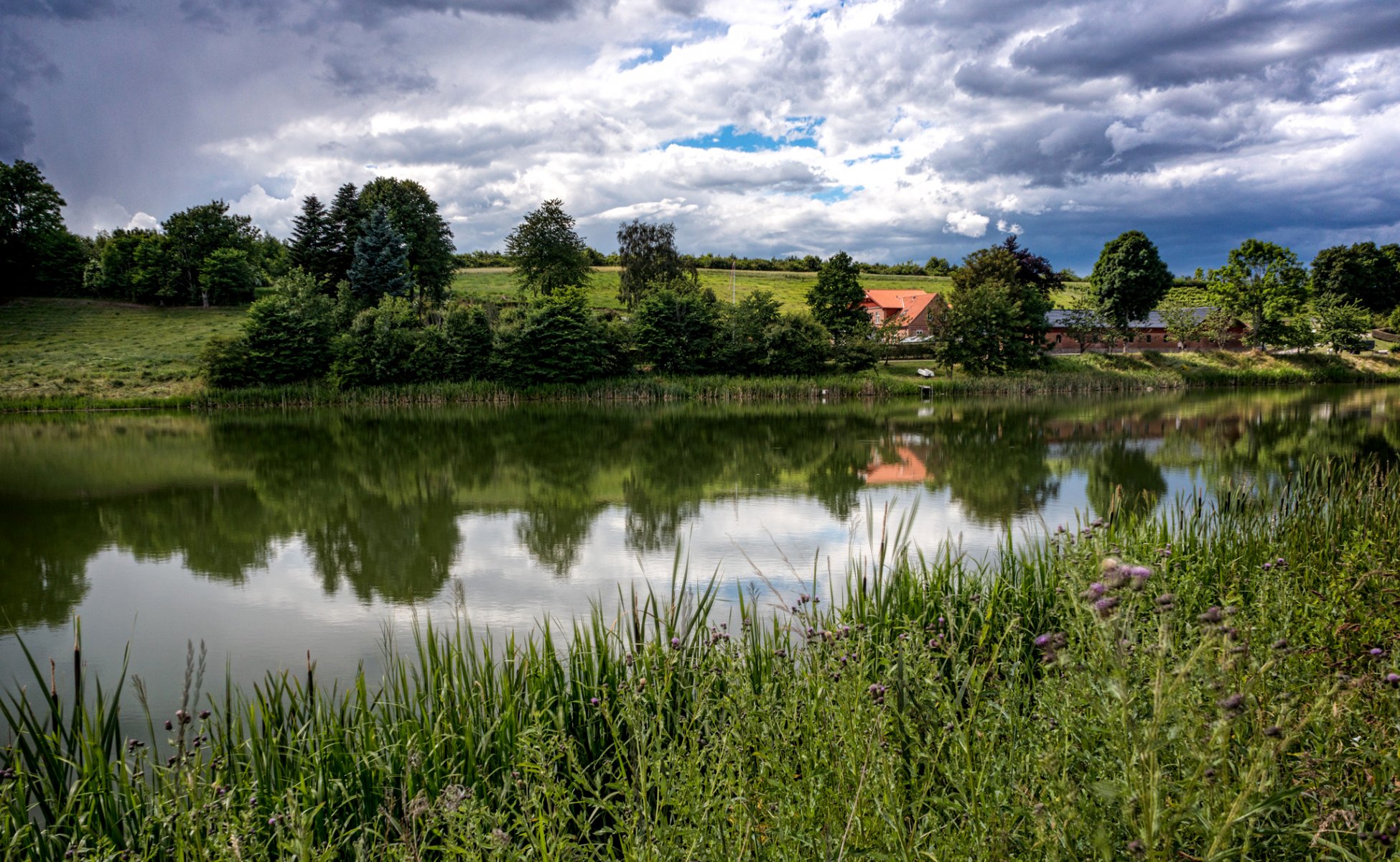 danimarca langa midtjylland fiume riva erba alberi campo nuvole