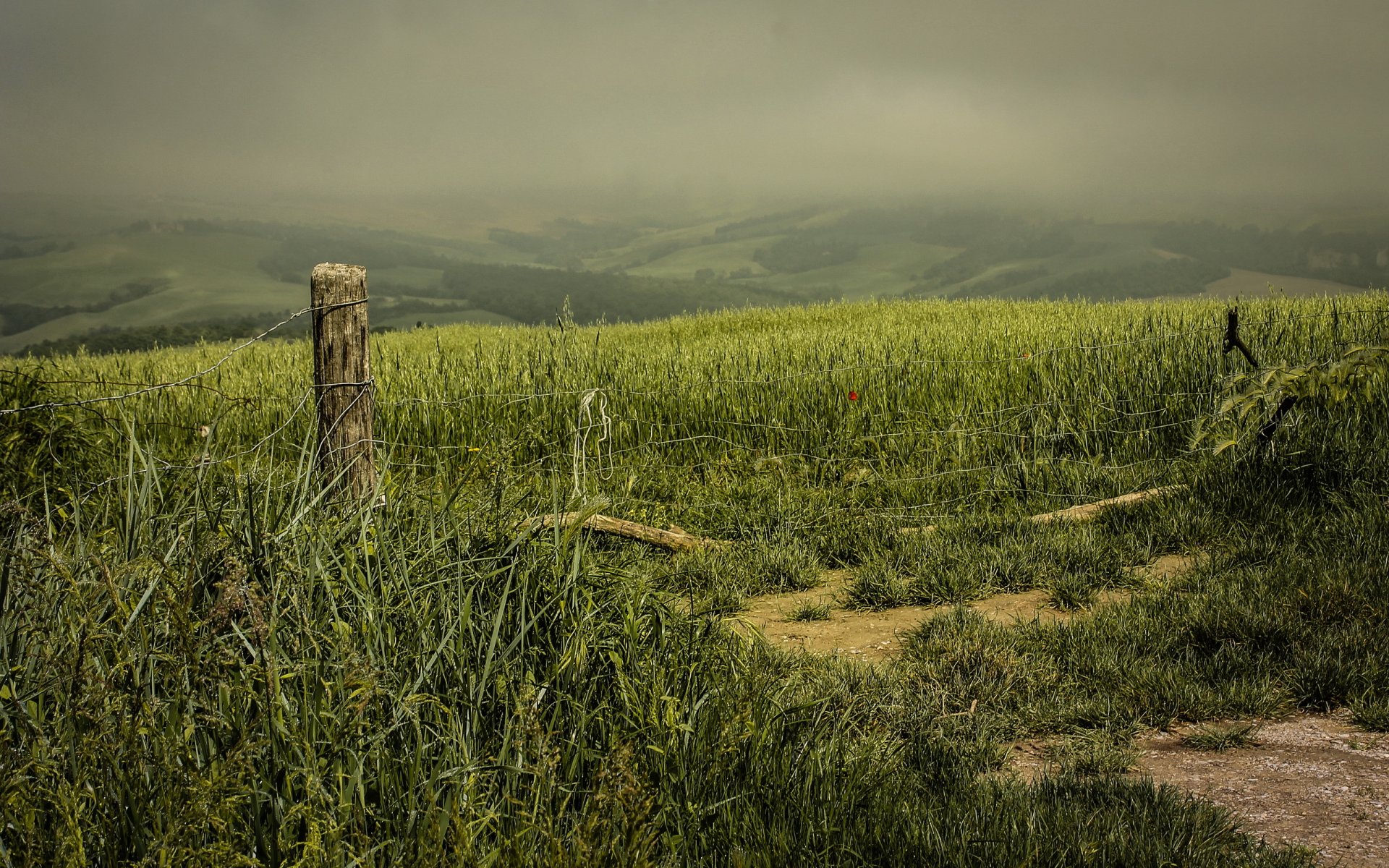 the field fence night landscape