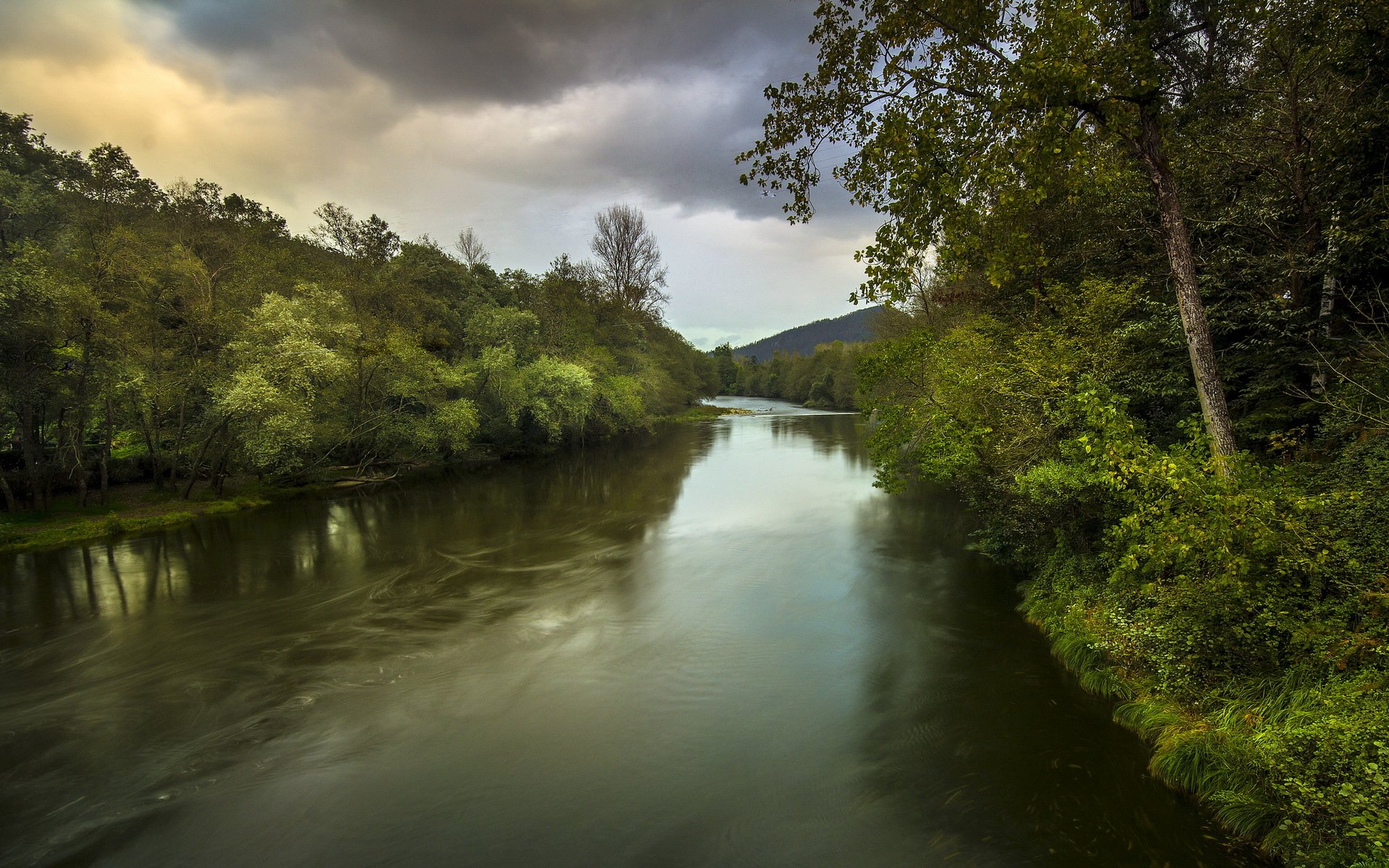 fluss bäume landschaft