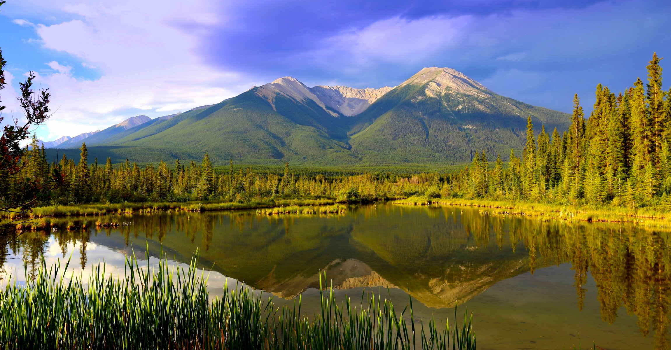 vermilion banff national park alberta canada canadian rockies vermilion lakes banff canadian rockies lake mountains reflection panorama