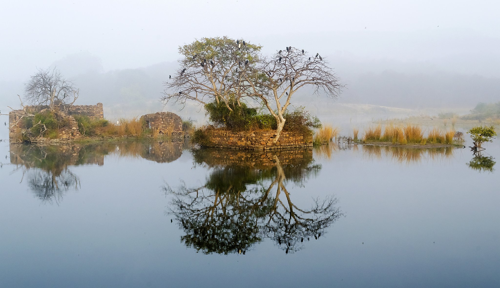 cielo montagne lago nebbia albero rovine rovine